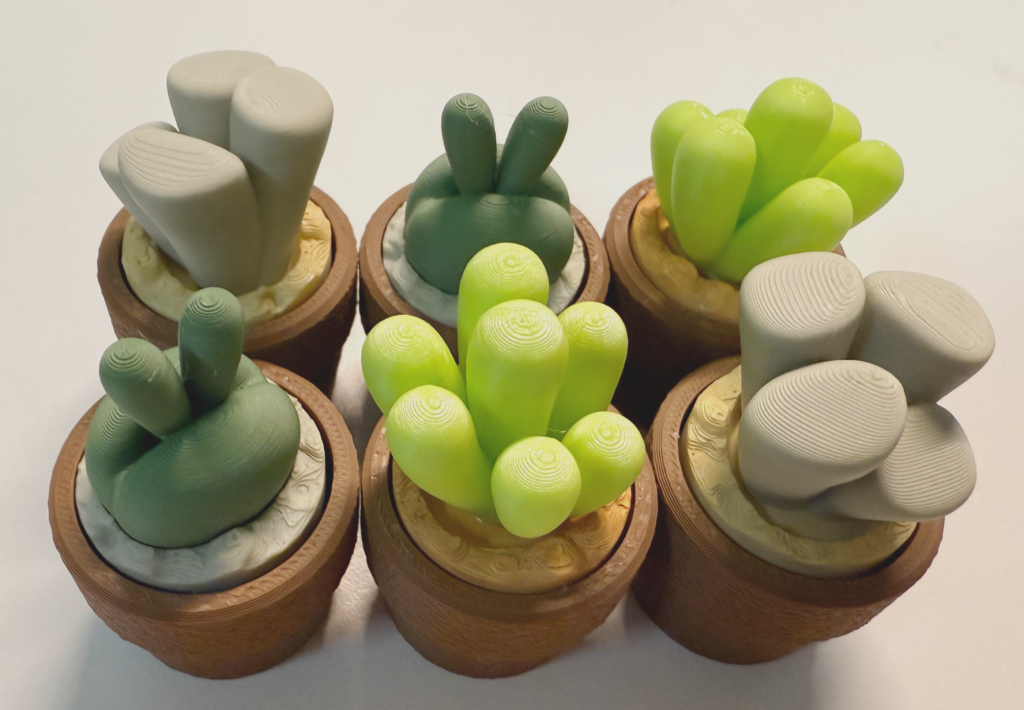 100 Collection of Succulent